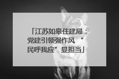 江苏如皋住建局：党建引领强作风 “民呼我应”显担当