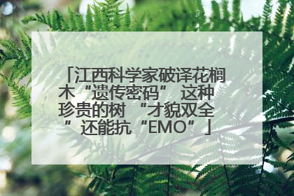 江西科学家破译花榈木“遗传密码” 这种珍贵的树 “才貌双全”还能抗“EMO”