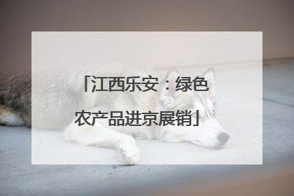 江西乐安：绿色农产品进京展销