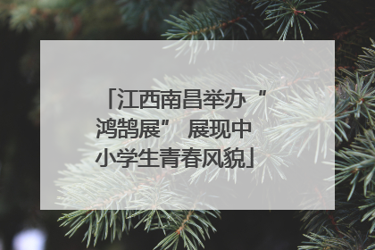 江西南昌举办“鸿鹄展” 展现中小学生青春风貌