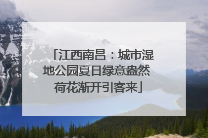 江西南昌：城市湿地公园夏日绿意盎然 荷花渐开引客来