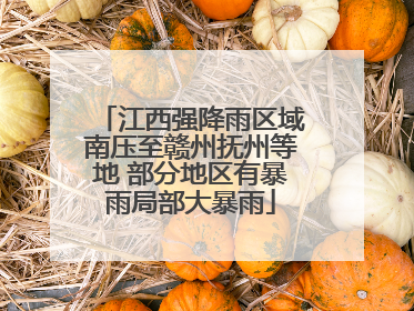 江西强降雨区域南压至赣州抚州等地 部分地区有暴雨局部大暴雨