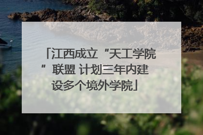 江西成立“天工学院”联盟 计划三年内建设多个境外学院