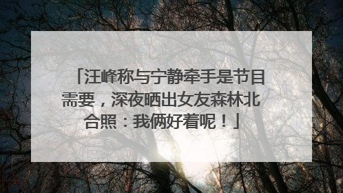 汪峰称与宁静牵手是节目需要，深夜晒出女友森林北合照：我俩好着呢！