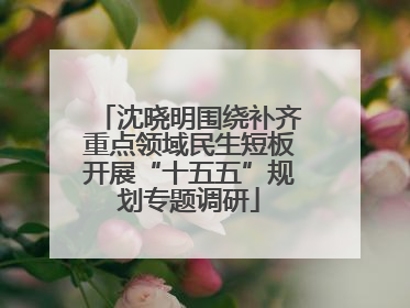 沈晓明围绕补齐重点领域民生短板开展“十五五”规划专题调研