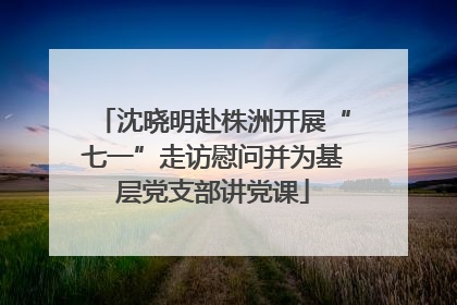 沈晓明赴株洲开展“七一”走访慰问并为基层党支部讲党课