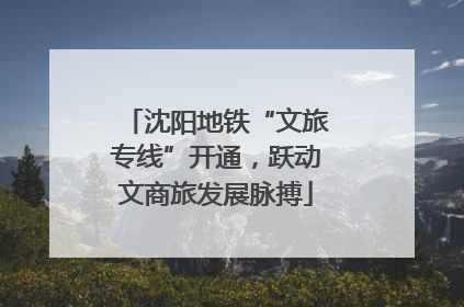 沈阳地铁“文旅专线”开通，跃动文商旅发展脉搏