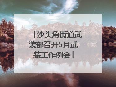 沙头角街道武装部召开5月武装工作例会