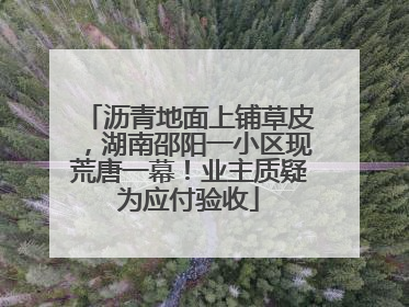 沥青地面上铺草皮，湖南邵阳一小区现荒唐一幕！业主质疑为应付验收