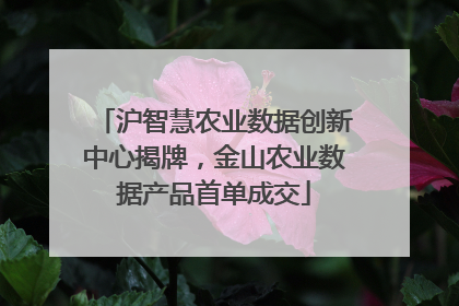 沪智慧农业数据创新中心揭牌，金山农业数据产品首单成交