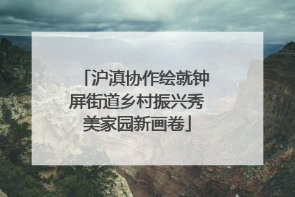 沪滇协作绘就钟屏街道乡村振兴秀美家园新画卷