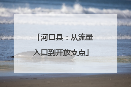 河口县：从流量入口到开放支点