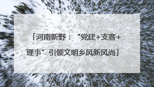 河南新野：“党建+支客+理事”引领文明乡风新风尚