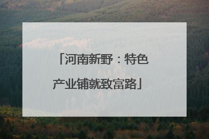 河南新野：特色产业铺就致富路