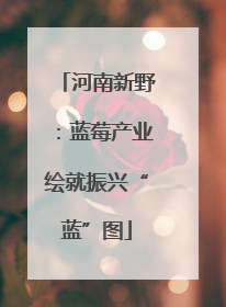 河南新野：蓝莓产业绘就振兴“蓝”图