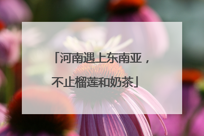 河南遇上东南亚，不止榴莲和奶茶