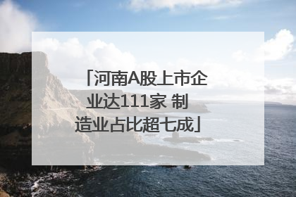 河南A股上市企业达111家 制造业占比超七成