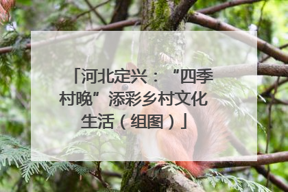 河北定兴：“四季村晚”添彩乡村文化生活（组图）