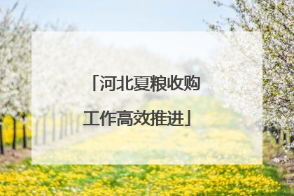 河北夏粮收购工作高效推进