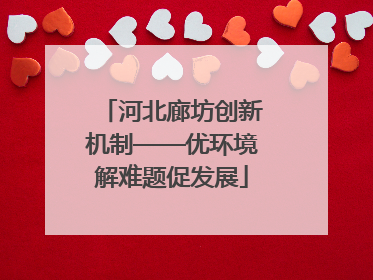 河北廊坊创新机制——优环境解难题促发展