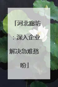 河北廊坊：深入企业解决急难愁盼