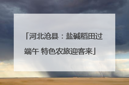 河北沧县：盐碱稻田过端午 特色农旅迎客来
