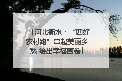 河北衡水：“四好农村路”串起美丽乡愁 绘出幸福画卷