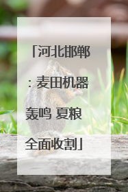 河北邯郸：麦田机器轰鸣 夏粮全面收割