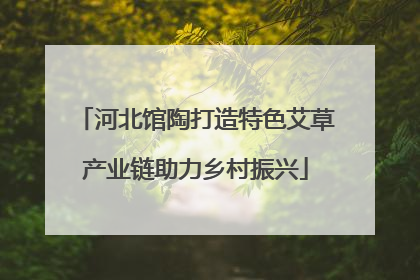 河北馆陶打造特色艾草产业链助力乡村振兴
