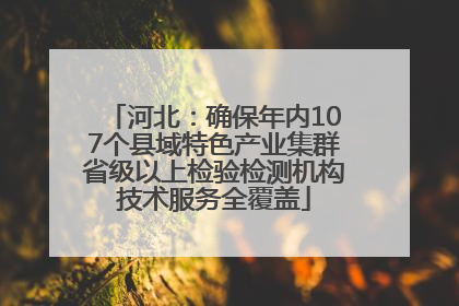河北：确保年内107个县域特色产业集群省级以上检验检测机构技术服务全覆盖