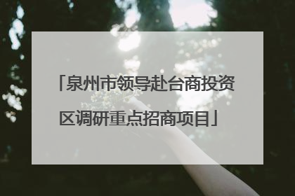 泉州市领导赴台商投资区调研重点招商项目