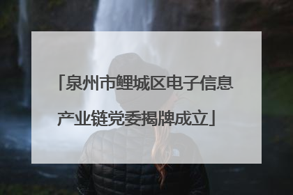 泉州市鲤城区电子信息产业链党委揭牌成立