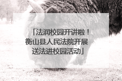 法润校园开讲啦！衡山县人民法院开展 送法进校园活动