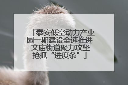 泰安低空动力产业园一期建设全速推进 文庙街道聚力攻坚抢抓“进度条”