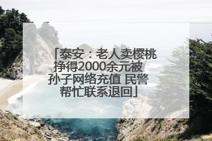 泰安：老人卖樱桃挣得2000余元被孙子网络充值 民警帮忙联系退回