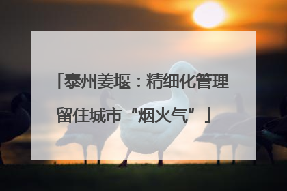 泰州姜堰：精细化管理留住城市“烟火气”