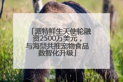 派特鲜生天使轮融资2500万美元，与海鼎共推宠物食品数智化升级
