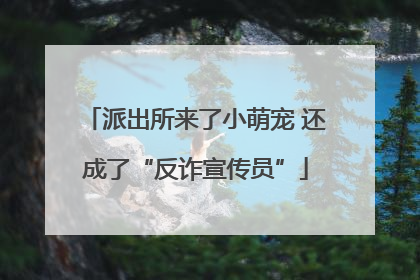派出所来了小萌宠 还成了“反诈宣传员”