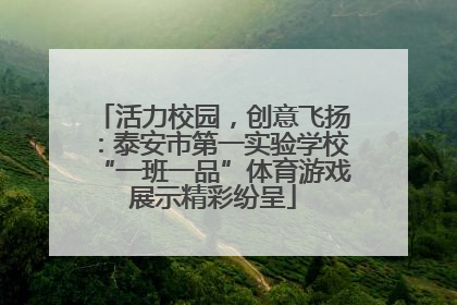 活力校园，创意飞扬：泰安市第一实验学校“一班一品”体育游戏展示精彩纷呈