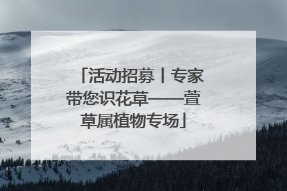 活动招募丨专家带您识花草——萱草属植物专场