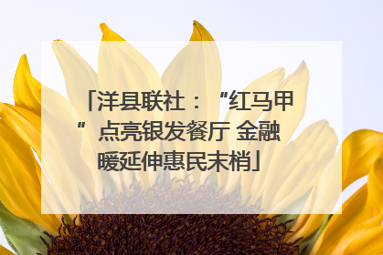 洋县联社：“红马甲”点亮银发餐厅 金融暖延伸惠民末梢