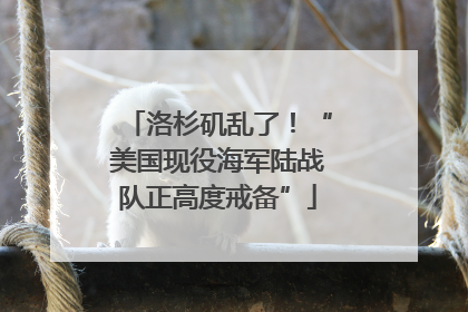 洛杉矶乱了！“美国现役海军陆战队正高度戒备”