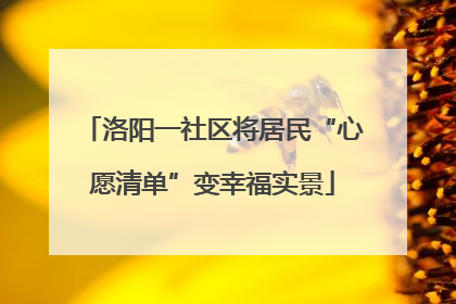 洛阳一社区将居民“心愿清单”变幸福实景
