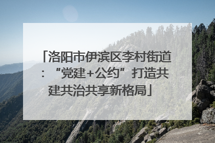 洛阳市伊滨区李村街道：“党建+公约”打造共建共治共享新格局