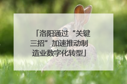 洛阳通过“关键三招”加速推动制造业数字化转型