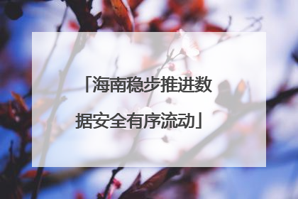 海南稳步推进数据安全有序流动