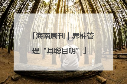 海南周刊｜界桩管理“耳聪目明”