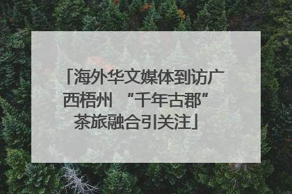 海外华文媒体到访广西梧州 “千年古郡”茶旅融合引关注