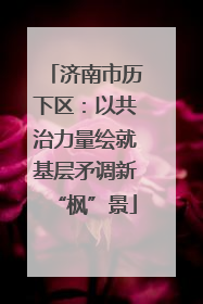 济南市历下区：以共治力量绘就基层矛调新“枫”景