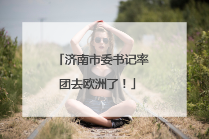 济南市委书记率团去欧洲了！